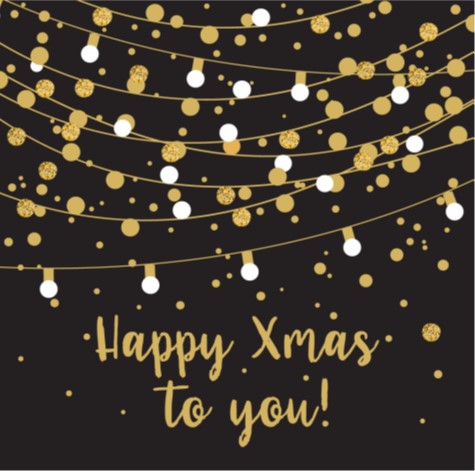 DUNI HAPPY XMAS NAPKINS 33X33CM 20PCS