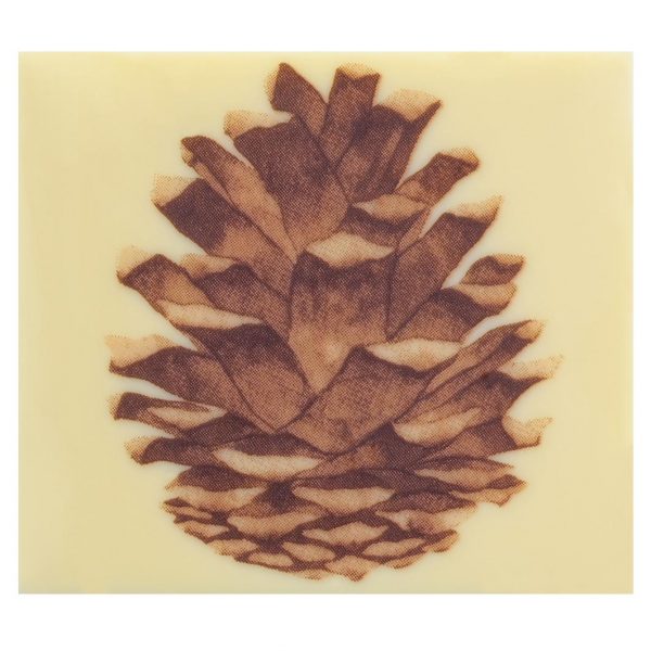 070291 PCB PINE CONE CB END CAPS 8.5X7.5 CM 40PCS ***S/CD***