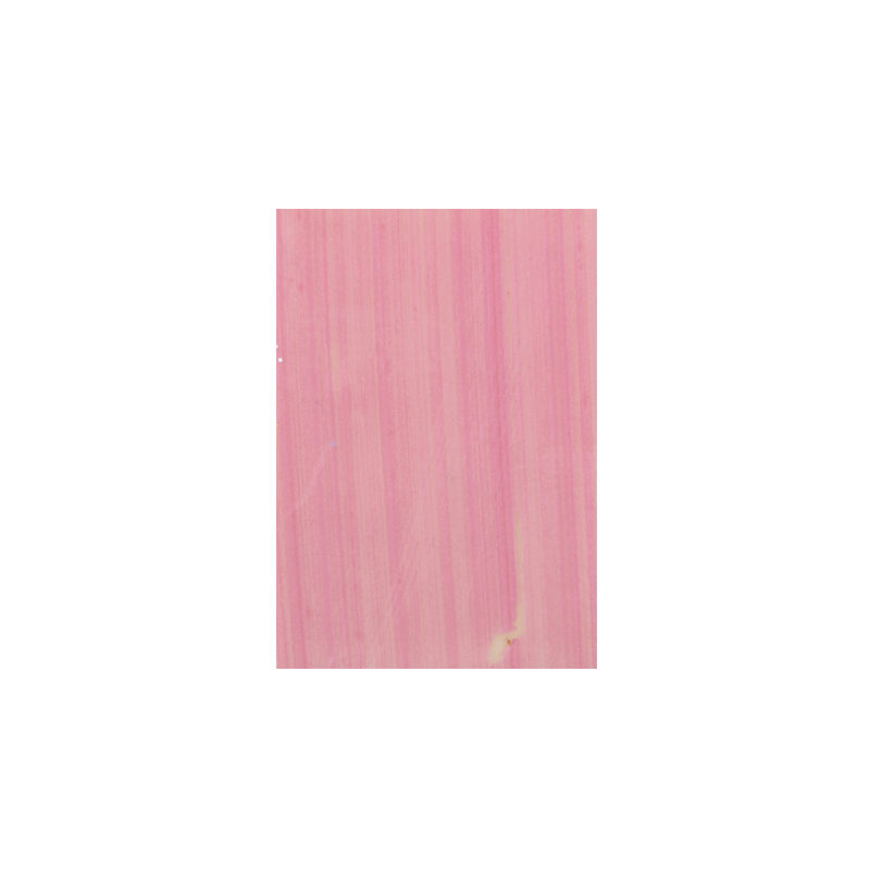 32507 PLAATJE ROZE  315 STUKKEN = DOOS