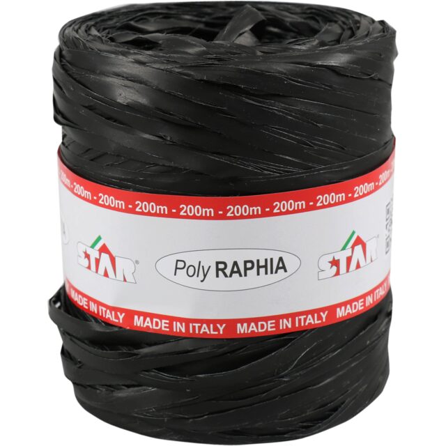 POLY RAPHIA 15MM X 200M  NOIR R89