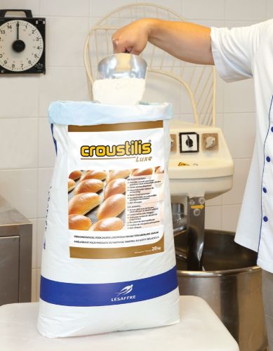 CROUSTILIS LUXE AMELIORANT POUR PATE DE LUXE 20KG