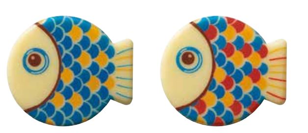 PCB Fish WC Rainbow 2 ontwerpen 4x3,5 cm 108pces ***s/cd***