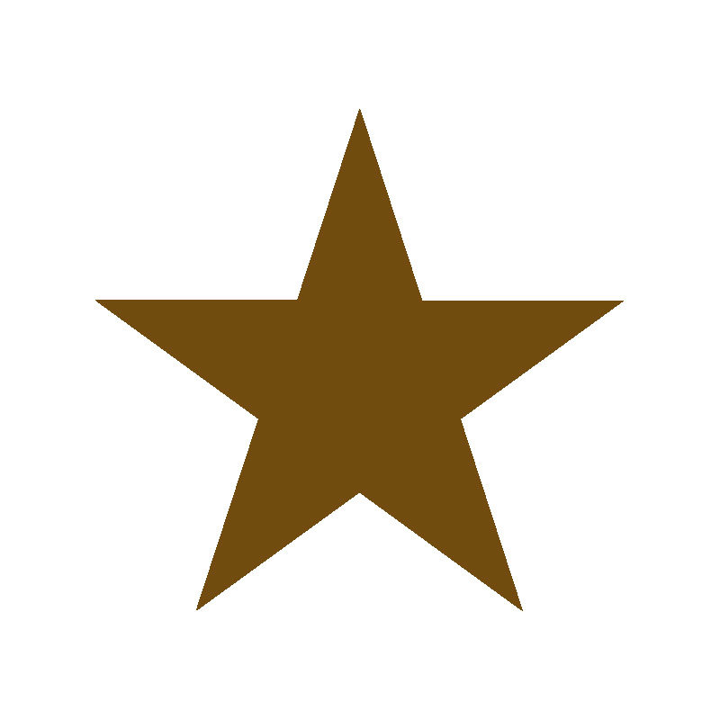 2092700 LARGE STAR 60PCES ***S/CDE***