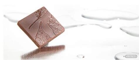 COCOA LEAF CHOCOLATE MOLD CW1669275X135MM - 2X5 -- 13GR