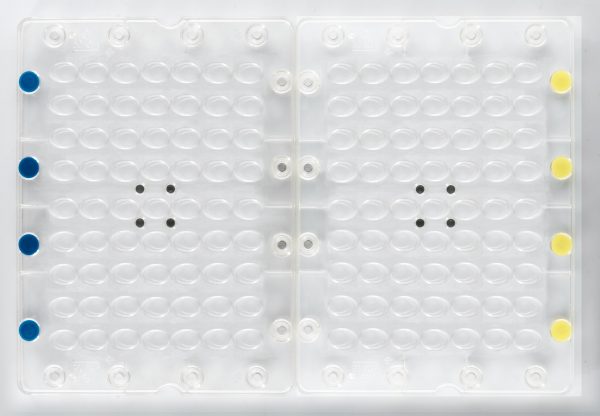 009964 PCB MAGNETISCHE MOLD VOOR HET MONTEREN VAN OUMADELEINE-EIEREN 63 PRINTS 1 STUK ***S/CD***