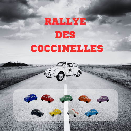 PORSELEINEN BONEN 100STKS "LADYBIRD RALLY" ***NIEUW 2025***