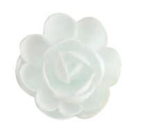 RG01 GROOT ROOS HOSTIE WIT 50MM 36 STUKENS