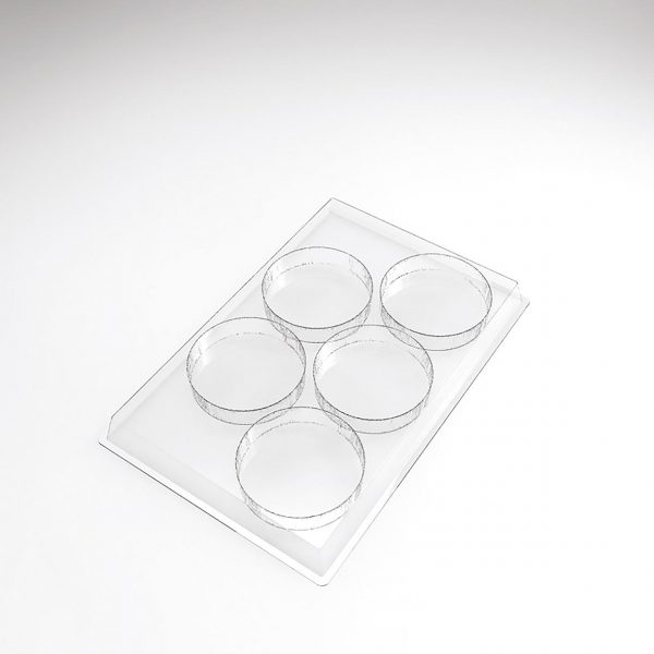 070536 PCB INDIVIDUELE ENTREMET VORMEN PALET VOOR 150 STUKS Ø 8 CM 30STUKS ***S/CD***