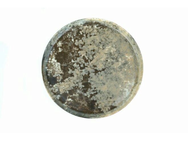 GURAL FOREST FLAT PLATE 21CM - 622100