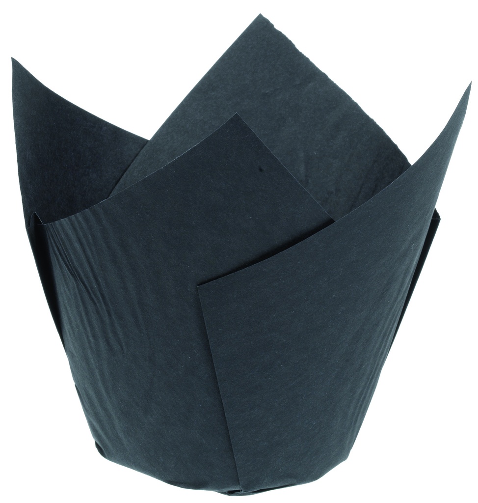 CAISSETTES TULIPE NOIR D50X70-200P