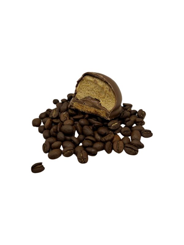 MELOCAKES LAIT MOKA 48 X 32GR