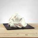 PREGEL FIORDILATTE LIGHT BENEO 1KG