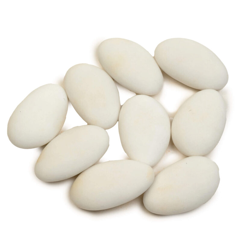 VANPARYS DRAGEE AMANDE MAGNOLIA BLANC MAT 1KG