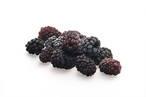 ❄️DIRAFROST CULTIVATED BLACKBERRY 1KG