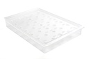 PRESENTOIR TRANSPARENT PAR LE BATON 21 FRISCOS 235X360 HT 48MM