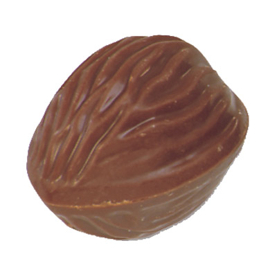 BRUYERRE PRALINE WALNOOTMELK 1,1KG