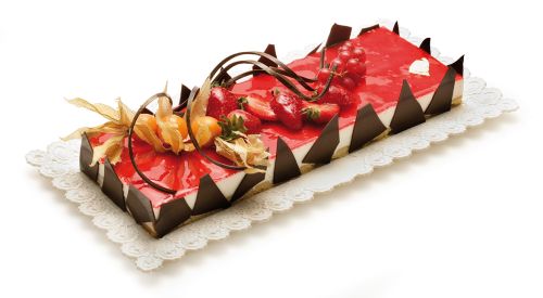 RECHTHOEKIGE KANTBAK 545 X 415 X 12MM FOST+ INBEGREPEN