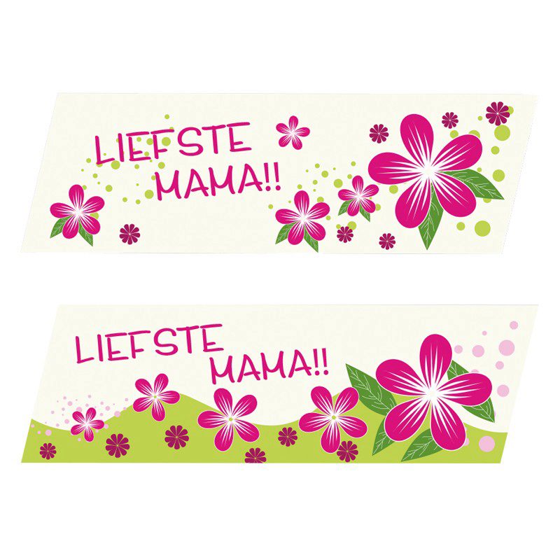 53208 LEVE MOEDER PLAATJE  35 STUKKEN = DOOS