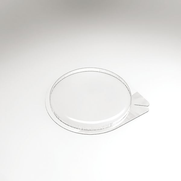 PCB Entremets Molds Taartblad voor 30 stuks ø 19 cm D 1.8 cm 30pces ***s/cd***
