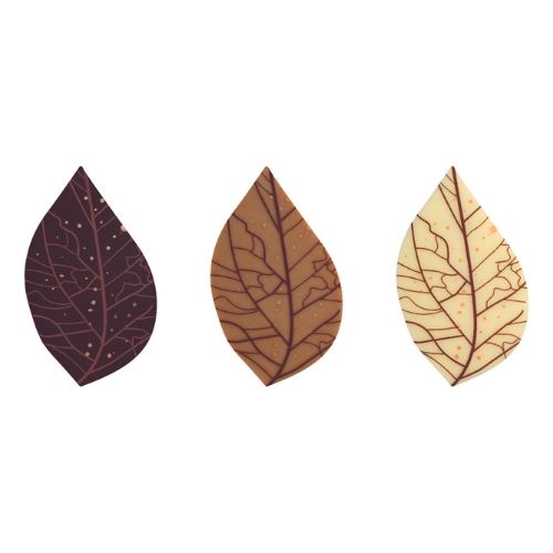 088138 PCB FEUILLES CN, CBC ET CB NERVURES 3 DESIGNS 4,5X2,7CM 108PCS ***S/CDE***