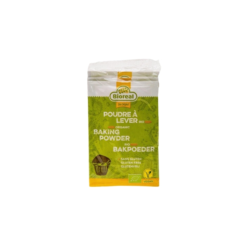 BIOREAL POUDRE A LEVER BIO 3 x 15 GR