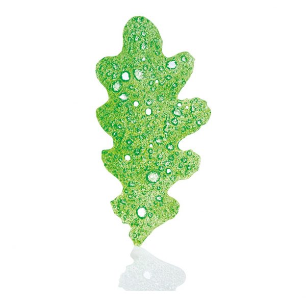 070403 PCB OPALINES GREEN OAK LEAVES 7.8X3.9CM 32 PIECES ***S/CD***