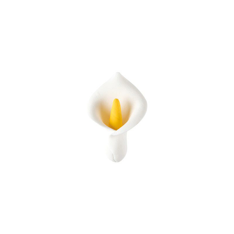1066061 ARUM MOYEN 5CM 50PCES ***S/CDE***