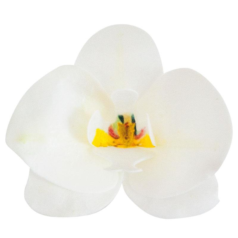 DEK WITTE ORCHIDEE HOSTIE 10 STUKKEN