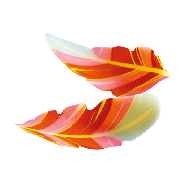 061041 PCB SMALL CURVED FEATHERS CB 4X1.9 CM 160PCS