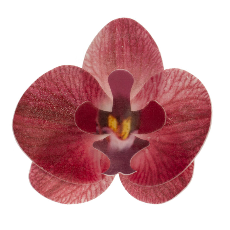 ORCHIDEE BORDEAUX 75X85MM WAFELTJE 10 ST