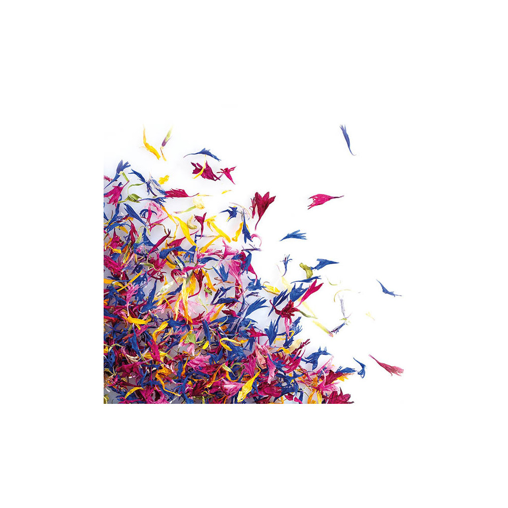 088214 PCB MÉLANGE DE FLEURS SÉCHÉES 12GR