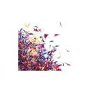 088214 PCB DRIED FLOWER MIX 12GR