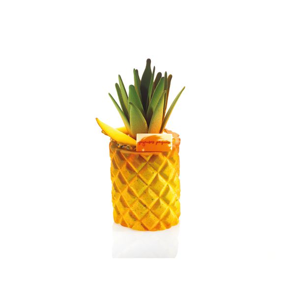 000368 PCB FEUILLES STRUCTURE ANANAS 56,5X36,5 CM10PCES ***S/CD***