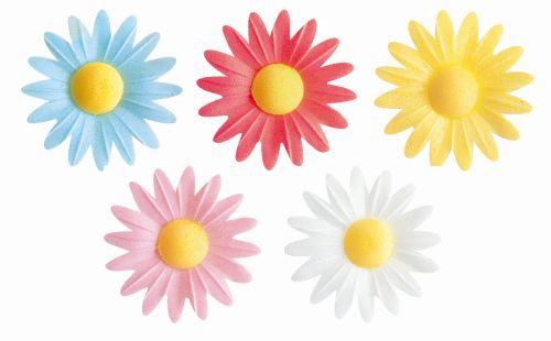 M550 MARGUERITES AZYME 45MM 5 COULEURS ASSORTIES 100PCES