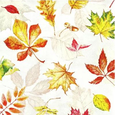 HOME FASHION SERVIETTE 33X33CM FEUILLES MORTES PAQUET DE 20PCES