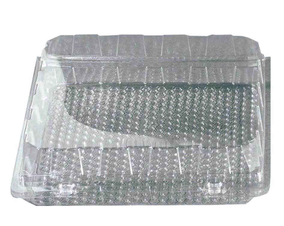 PATIPACK SQUARE INT. BOX 100X100X70MM VENTILATED HINGED LID 405 PCE/BOX*SCDE