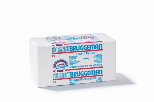 LEVURE **FT* SPECIALE SURGELATION BRUGGEMAN 1KG