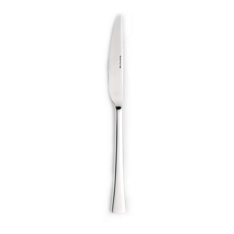 ETERNUM 964-5 CURVE 18/0 TABLE KNIFE