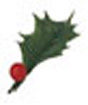 HOUX VERT + BOULE ROUGE 4.5CMPAQUET DE 144P