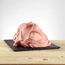 PREGEL SPRINT ANGURIA (PASTEQUE)1.1KG