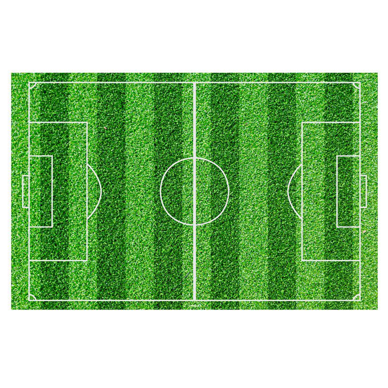TERRAIN DE FOOT EN SUCRE 20X30CM