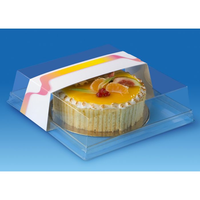 DESIPACK GEBAKSDOOS DEKSEL 22X22X9,8CM GEVENTILEERD HUISDIER 210ST BINNENMAAT 19X19CM