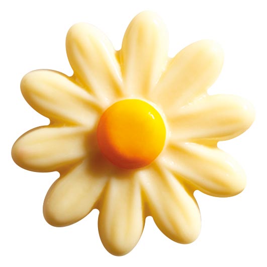 061314 PCB DAISIES CB 4.2X4 CM 96PCES ***S/CD***