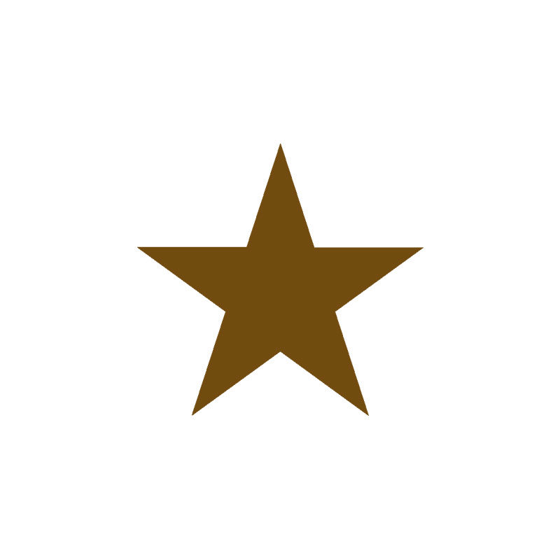 2092600 ETOILE PETITE 60PCES ***S/CDE***