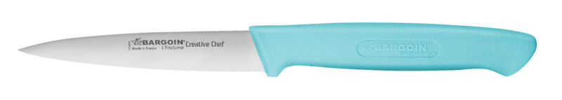 FISCHER PARING KNIFE 10CM TURQUOISE HANDLE OVERMOLD 10337-10