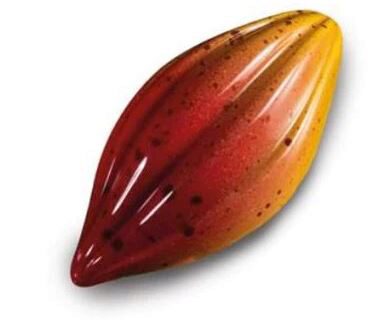 MOULE À PRALINE POLYCARB DESIGN MA1018 FORME FEVE DE CACAO