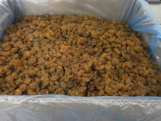 RAISINS SECS AFRIQUE DU SUD ORANGE RIVERS 12,5KG