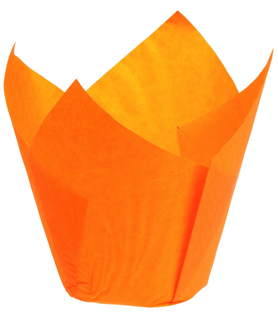CAISSETTES TULIPE ORANGE D50X70-200P