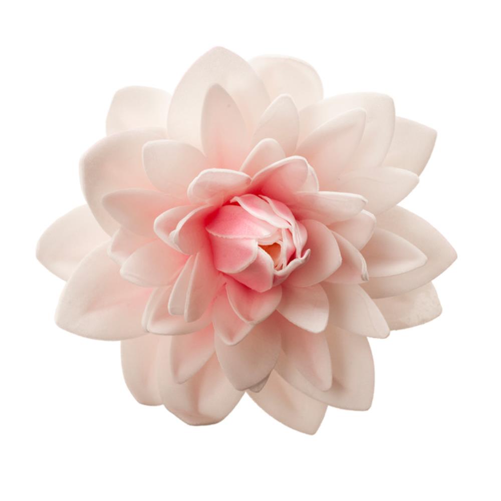 126142 DEK GIANT DAHLIA BLOEM HOSTIE ROZE 12.5CM=STUK