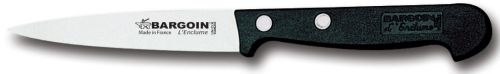FISCHER SCHILPMESJE 10CM 2 KLINKNAGELS 210-10